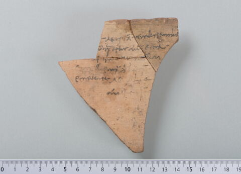 ostracon, image 1/4