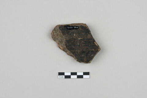 ostracon, image 2/3