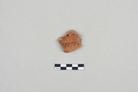 ostracon, image 1/3