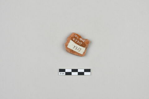 ostracon, image 2/3