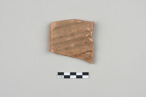 ostracon, image 2/3