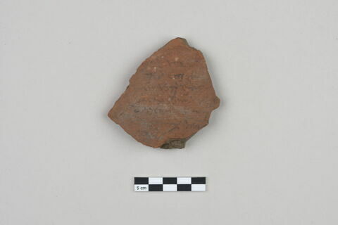 ostracon, image 1/3
