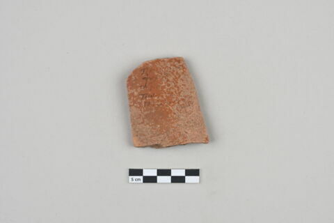ostracon, image 1/3