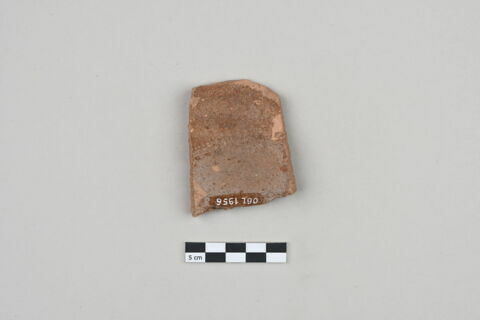 ostracon, image 2/3