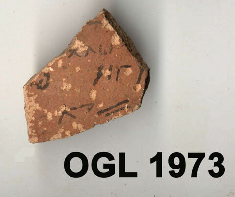 ostracon, image 1/1