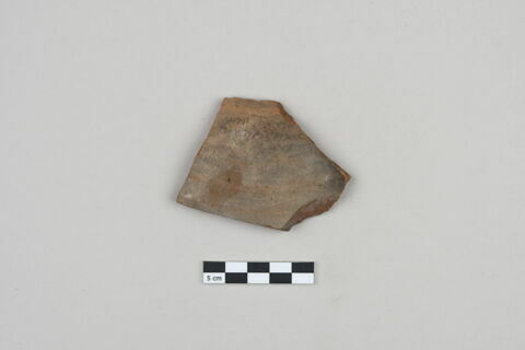 ostracon, image 1/3