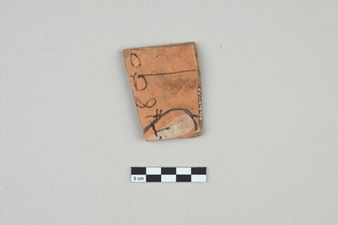 ostracon, image 2/3