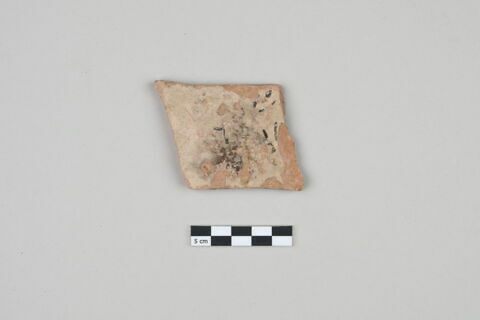 ostracon, image 1/3