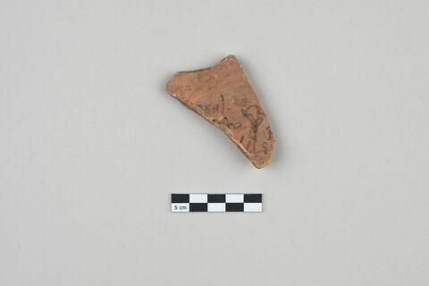 ostracon, image 1/3