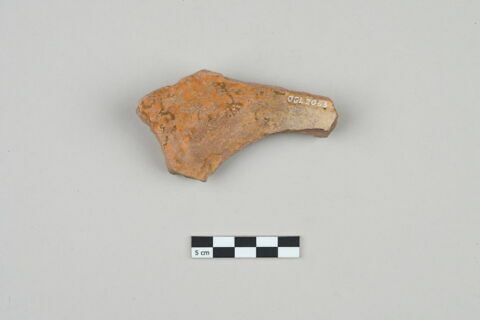 ostracon, image 2/3