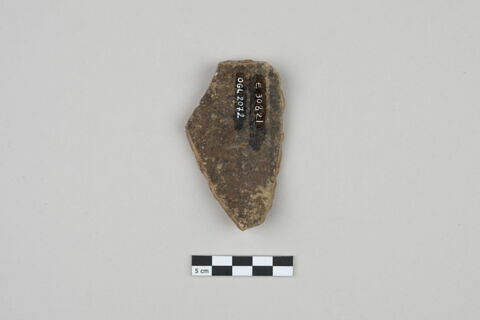 ostracon, image 2/3