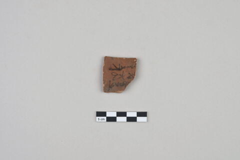 ostracon, image 2/4