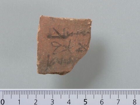 ostracon, image 1/4