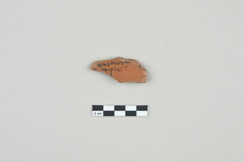 ostracon, image 1/3