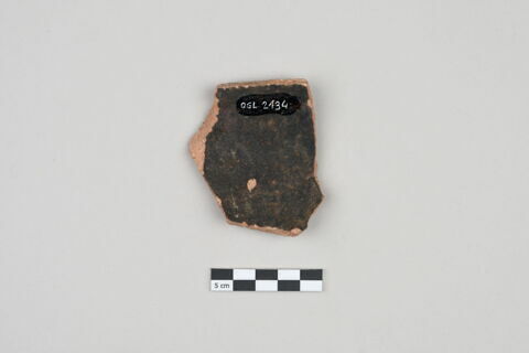 ostracon, image 2/3