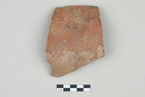 ostracon, image 1/3