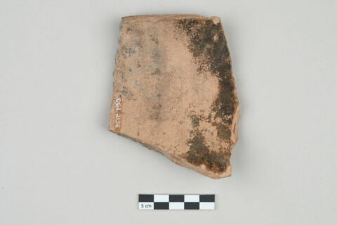 ostracon, image 2/3