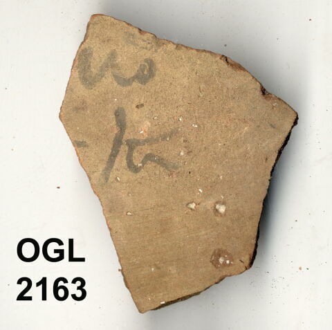 ostracon, image 1/1