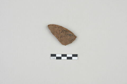 ostracon, image 1/3