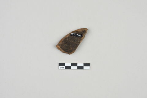 ostracon, image 2/3