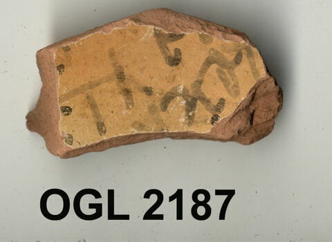 ostracon, image 1/1