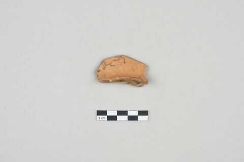ostracon, image 1/3