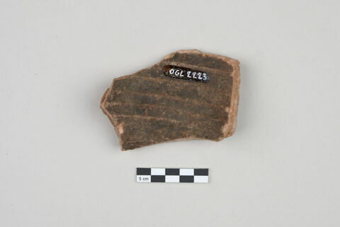 ostracon, image 2/3