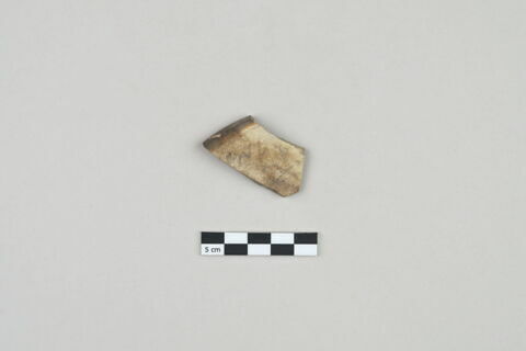 ostracon, image 1/3