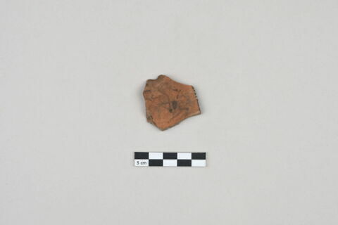 ostracon, image 2/3