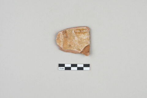 ostracon, image 2/3