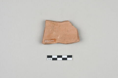 ostracon, image 2/3