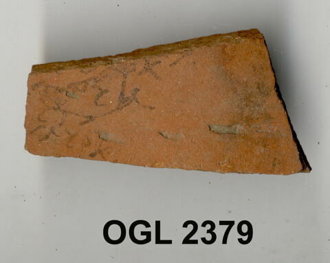 ostracon, image 1/1