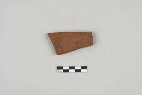 ostracon, image 1/3