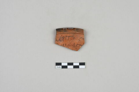 ostracon, image 1/3