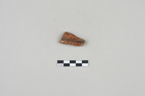 ostracon, image 1/3
