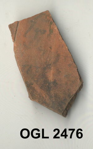 ostracon, image 1/1