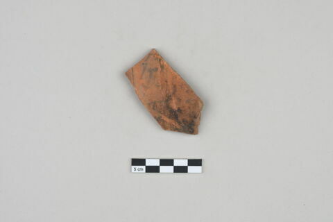 ostracon, image 1/3