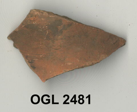 ostracon, image 1/1