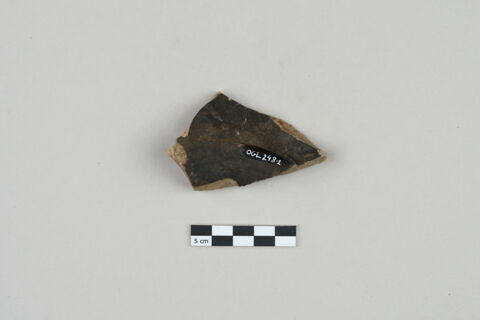 ostracon, image 2/3