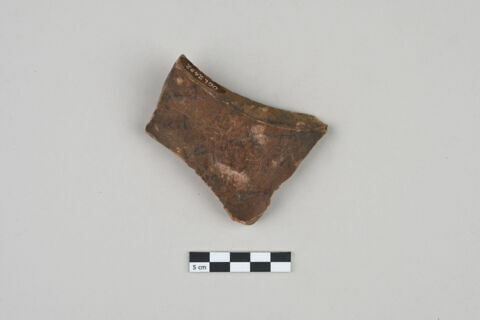 ostracon, image 1/3