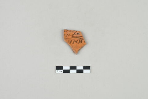 ostracon, image 1/3