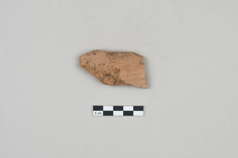 ostracon, image 1/3