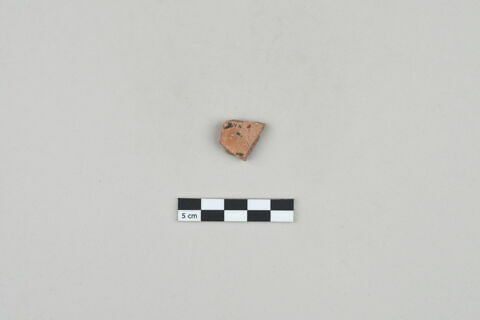 ostracon, image 1/3
