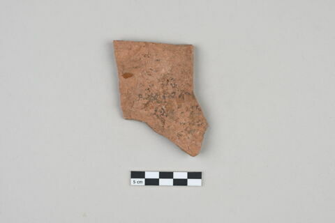 ostracon, image 1/3
