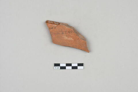 ostracon, image 1/3