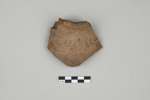 ostracon, image 1/3