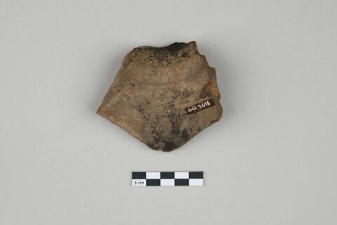 ostracon, image 2/3