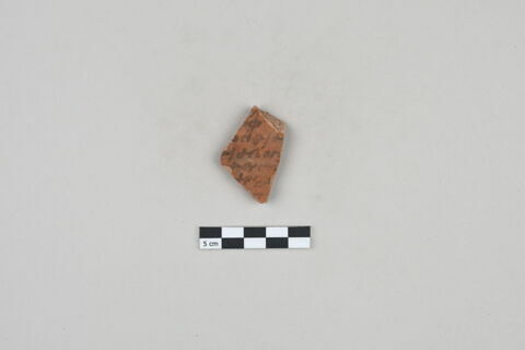 ostracon, image 1/3