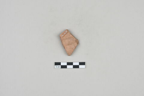 ostracon, image 2/3