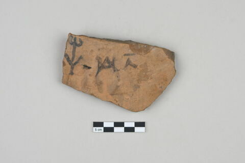 ostracon, image 1/3